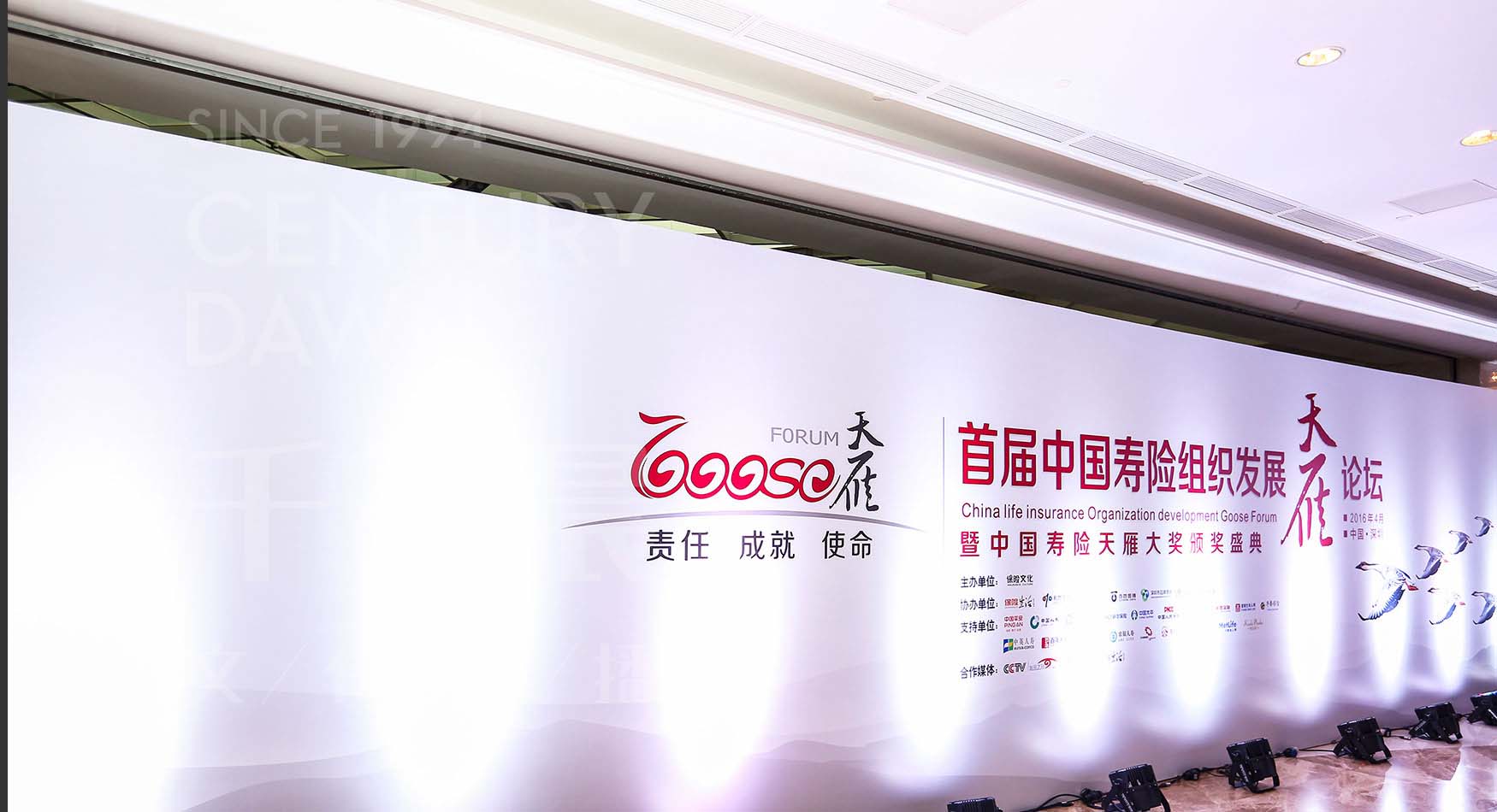 首届中国寿险组织发展天雁论坛